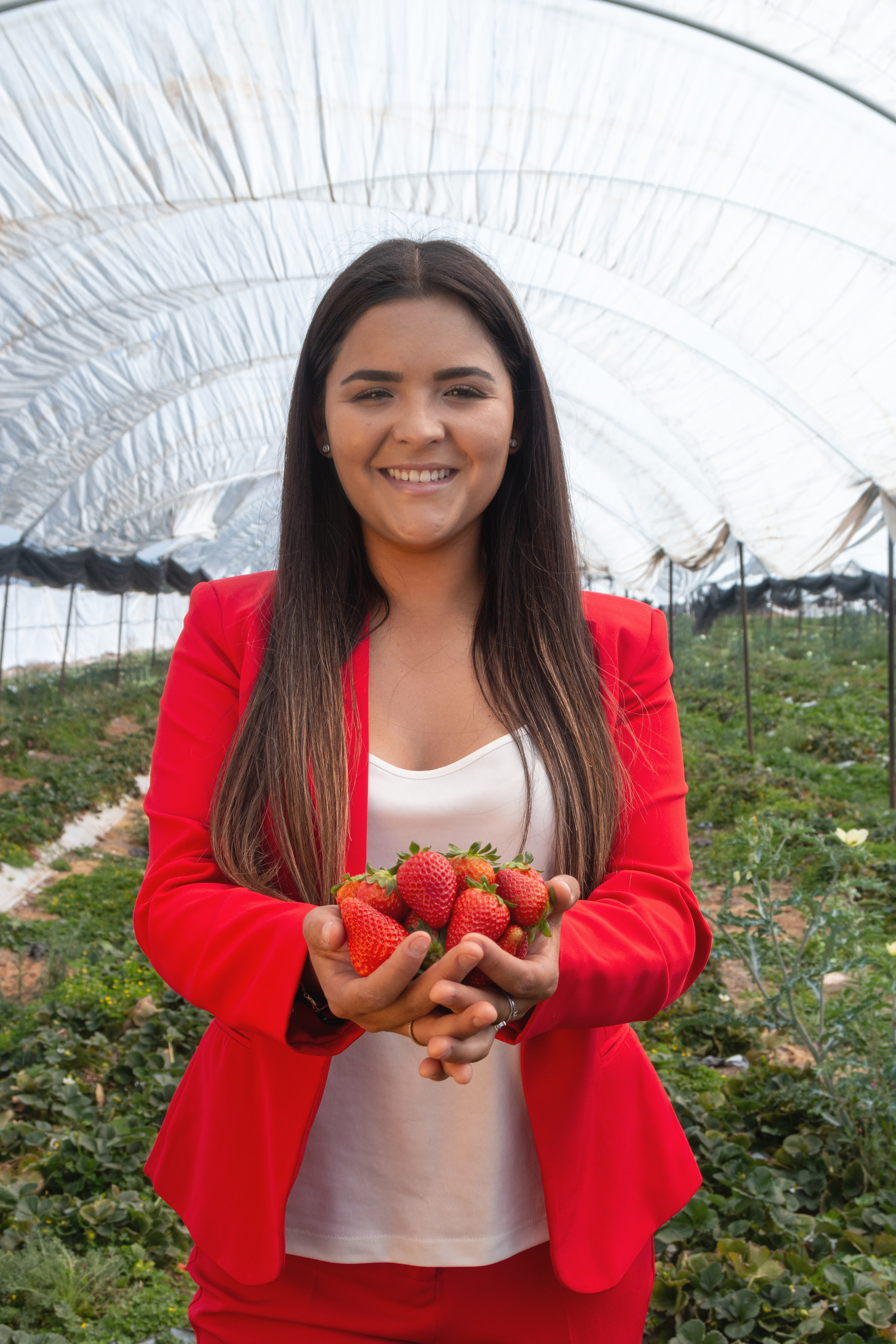  $articuloEdicion->titulo